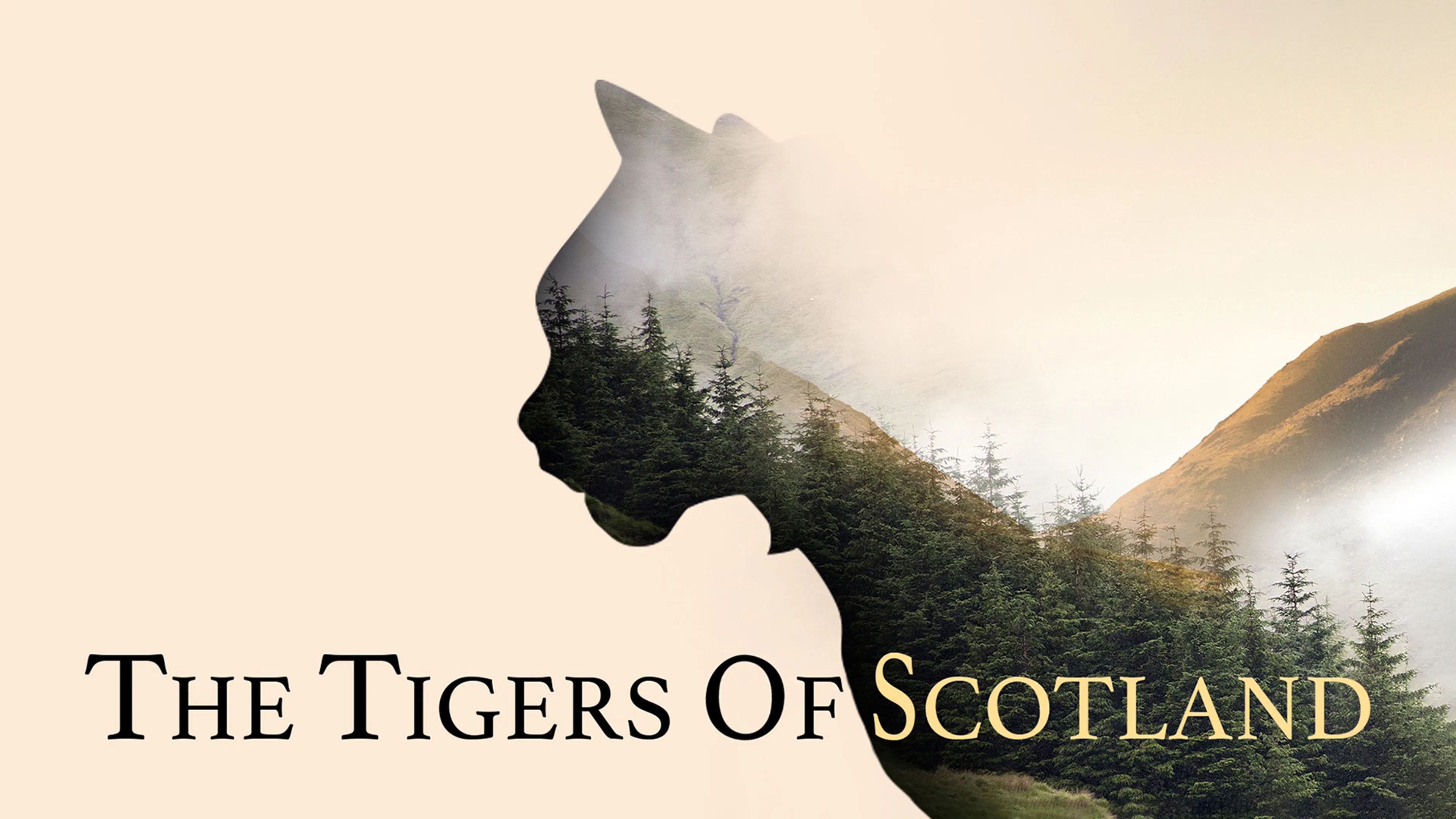 The Tigers of Scotland poster